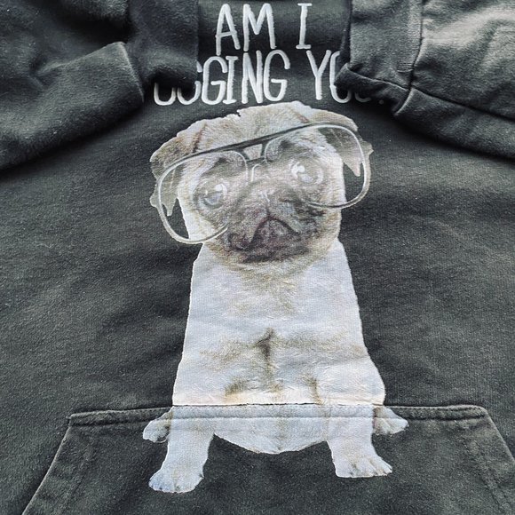 Sweatshirt Hoodie With Pug Dog Graphic Am I Pugging You? - Picture 12 of 15